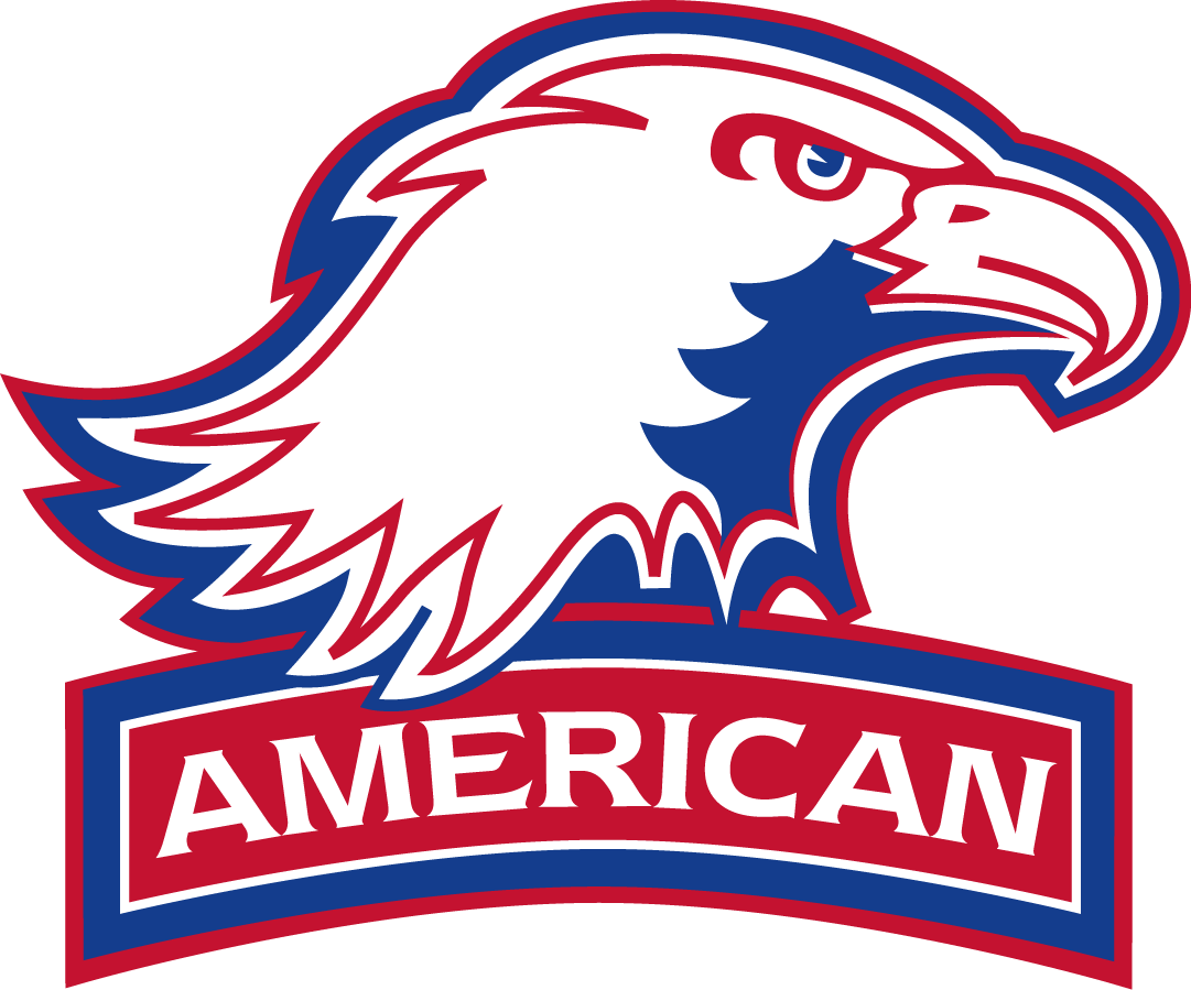 American Eagles 2006-2009 Alternate Logo DIY iron on transfer (heat transfer)